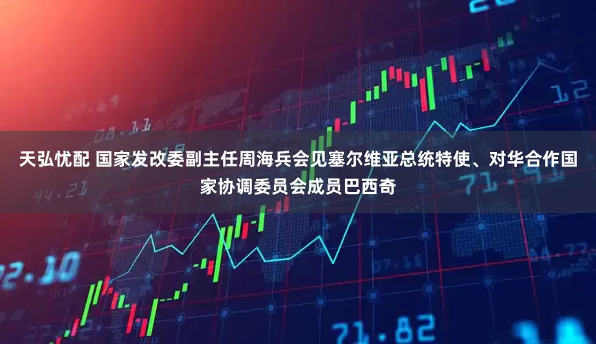 天弘忧配 国家发改委副主任周海兵会见塞尔维亚总统特使、对华合作国家协调委员会成员巴西奇