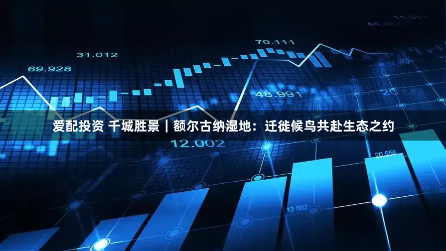 爱配投资 千城胜景｜额尔古纳湿地：迁徙候鸟共赴生态之约