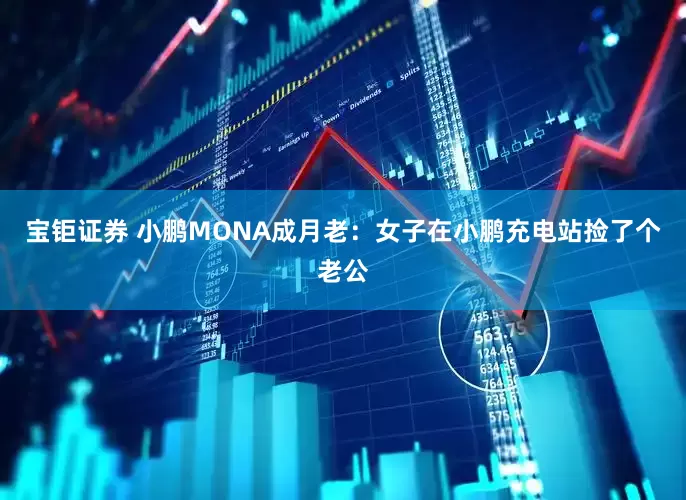 宝钜证券 小鹏MONA成月老：女子在小鹏充电站捡了个老公